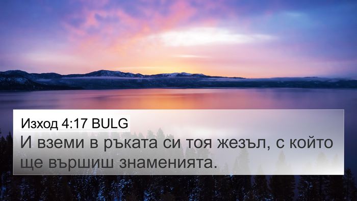 Изход 4:17 BULG Bible Verse Image