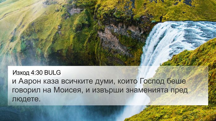 Изход 4:30 BULG Bible Verse Image