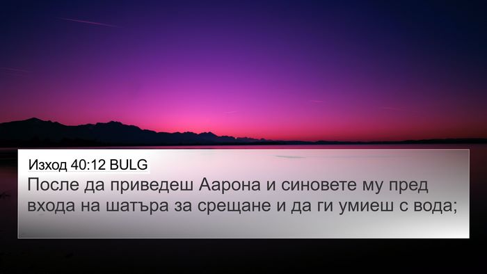 Изход 40:12 BULG Bible Verse Image