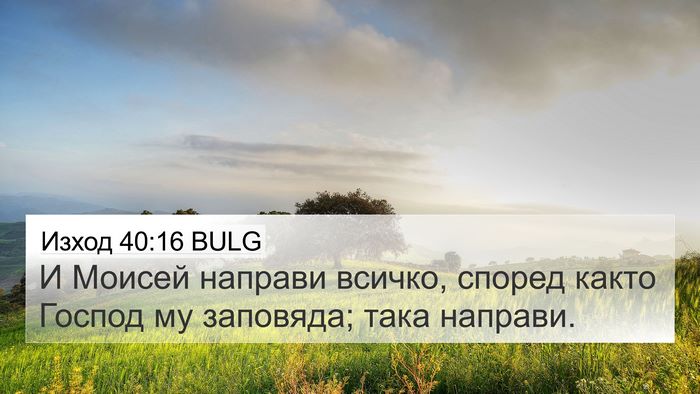 Изход 40:16 BULG Bible Verse Image