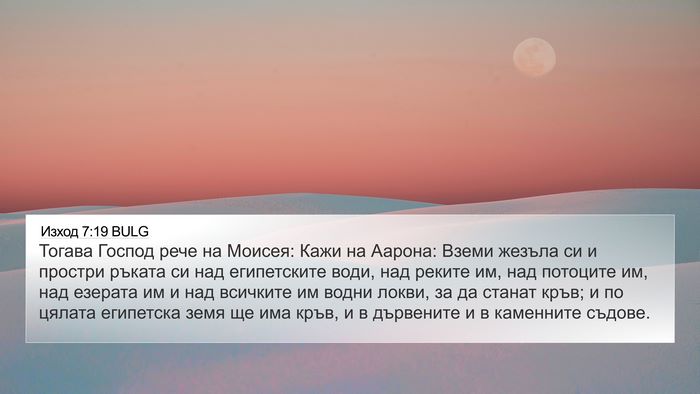 Изход 7:19 BULG Bible Verse Image
