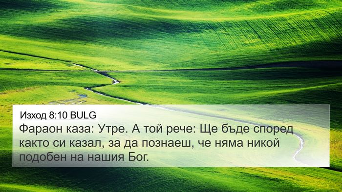 Изход 8:10 BULG Bible Verse Image