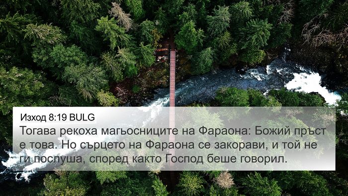 Изход 8:19 BULG Bible Verse Image