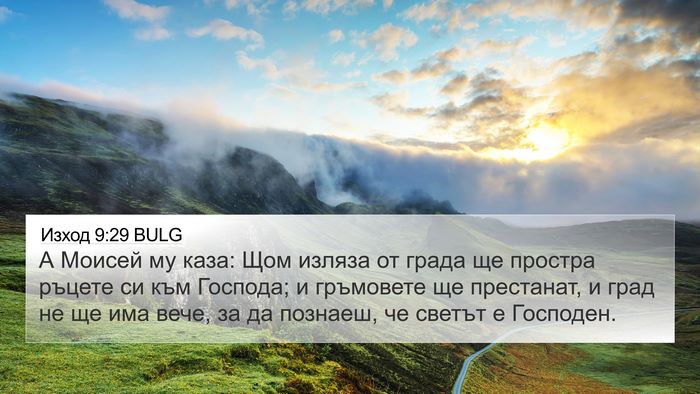 Изход 9:29 BULG Bible Verse Image
