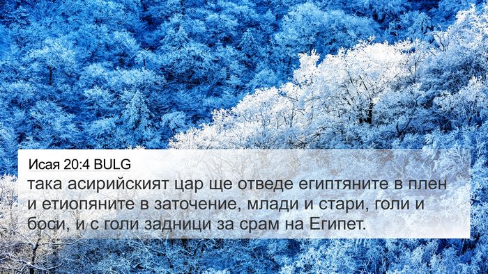 Исая 20:4 BULG Bible Verse Image