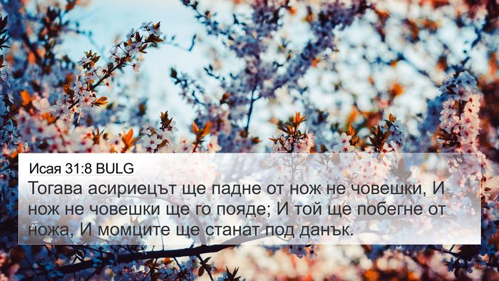Исая 31:8 BULG Bible Verse Image