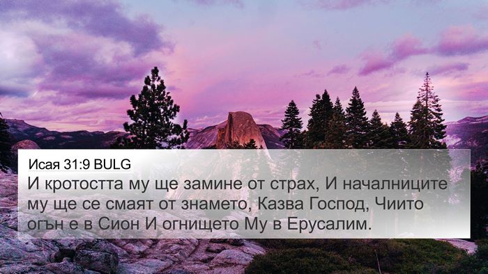 Исая 31:9 BULG Bible Verse Image