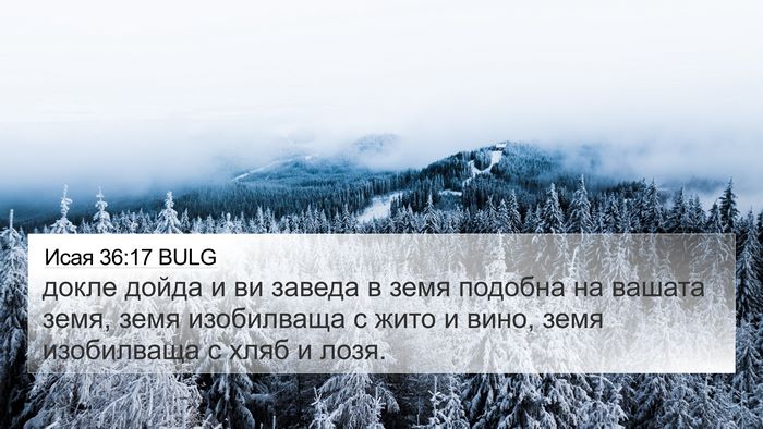 Исая 36:17 BULG 4K Wallpaper - докле дойда и ви заведа в - 4K Wallpaper Bible Verse