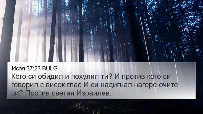 Исая 37:23 BULG Bible Verse Image