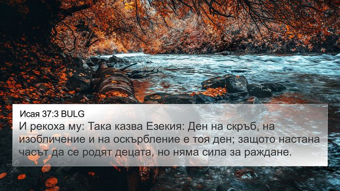 Исая 37:3 BULG Bible Verse Image