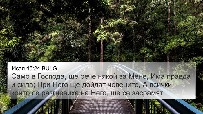 Исая 45:24 BULG Bible Verse Image