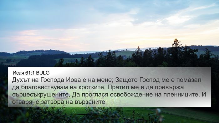Исая 61:1 BULG Bible Verse Image