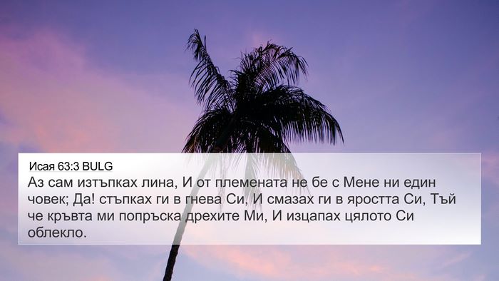 Исая 63:3 BULG Bible Verse Image