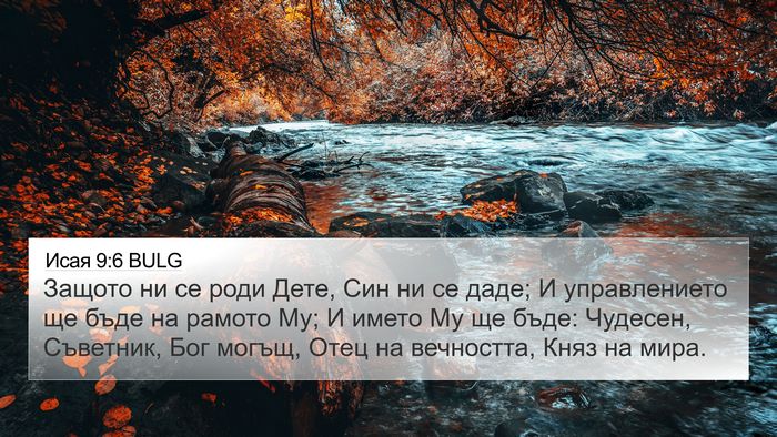 Исая 9:6 BULG Bible Verse Image