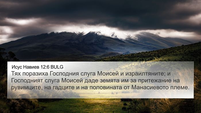 Исус Навиев 12:6 BULG Bible Verse Image
