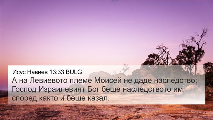 Исус Навиев 13:33 BULG Bible Verse Image