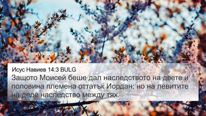 Исус Навиев 14:3 BULG Bible Verse Image