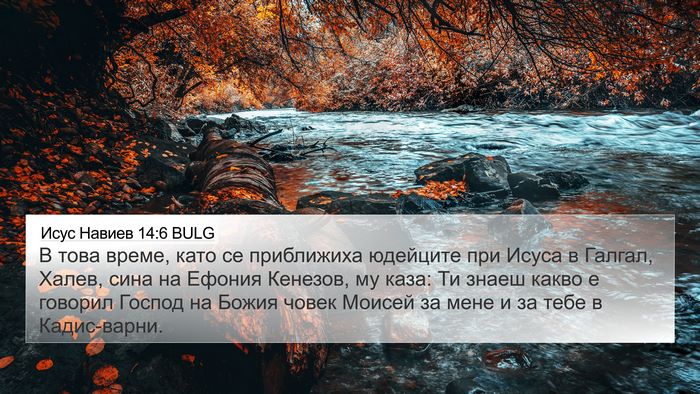 Исус Навиев 14:6 BULG Bible Verse Image