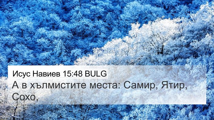 Исус Навиев 15:48 BULG Bible Verse Image
