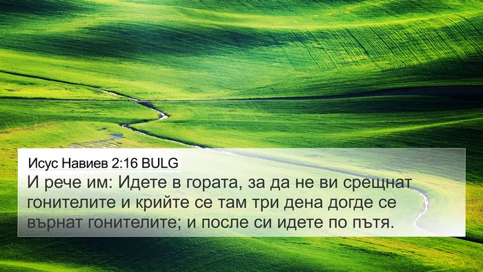 Исус Навиев 2:16 BULG Bible Verse Image