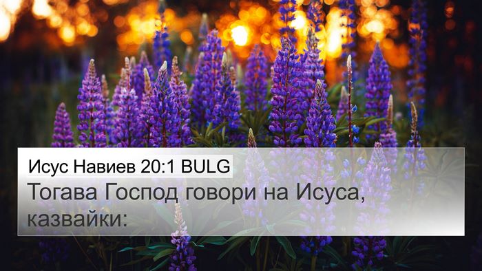 Исус Навиев 20:1 BULG 4K Wallpaper - Тогава Господ говори на - 4K Wallpaper Bible Verse