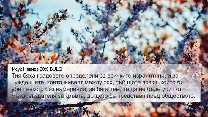 Исус Навиев 20:9 BULG Bible Verse Image