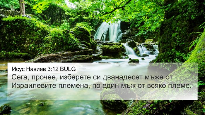 Исус Навиев 3:12 BULG Bible Verse Image
