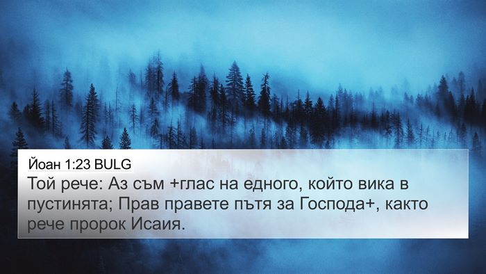 Йоан 1:23 BULG Bible Verse Image