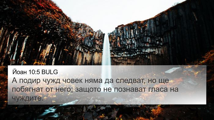 Йоан 10:5 BULG Bible Verse Image