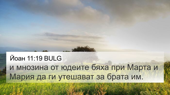 Йоан 11:19 BULG Bible Verse Image