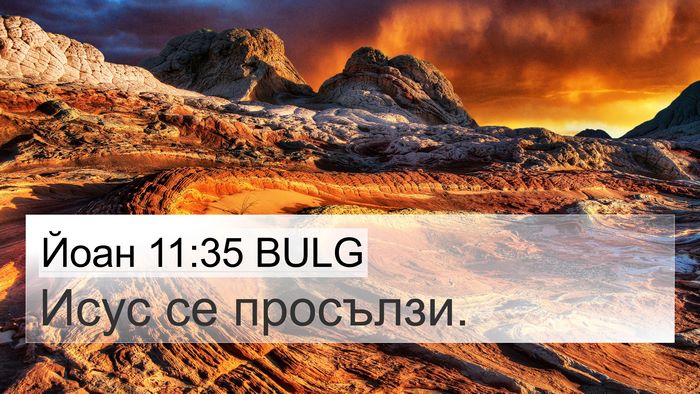 Йоан 11:35 BULG Bible Verse Image