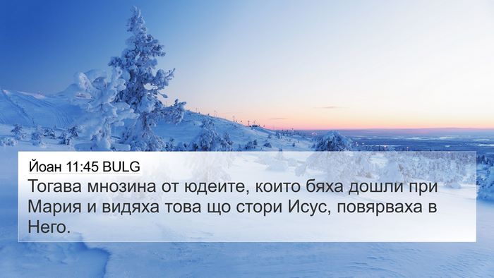 Йоан 11:45 BULG Bible Verse Image