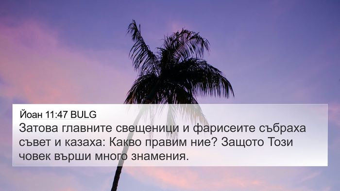 Йоан 11:47 BULG Bible Verse Image