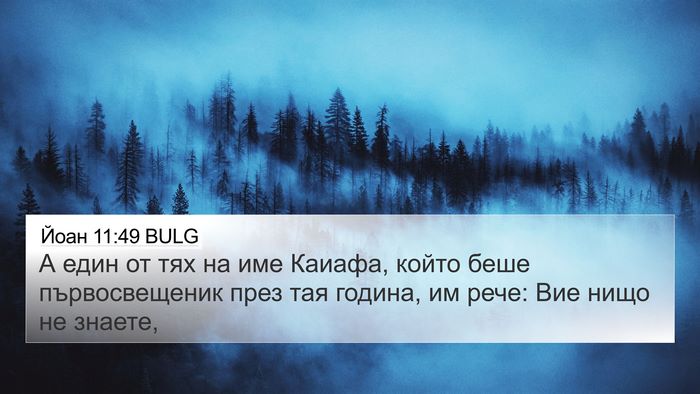 Йоан 11:49 BULG Bible Verse Image