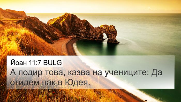 Йоан 11:7 BULG Bible Verse Image