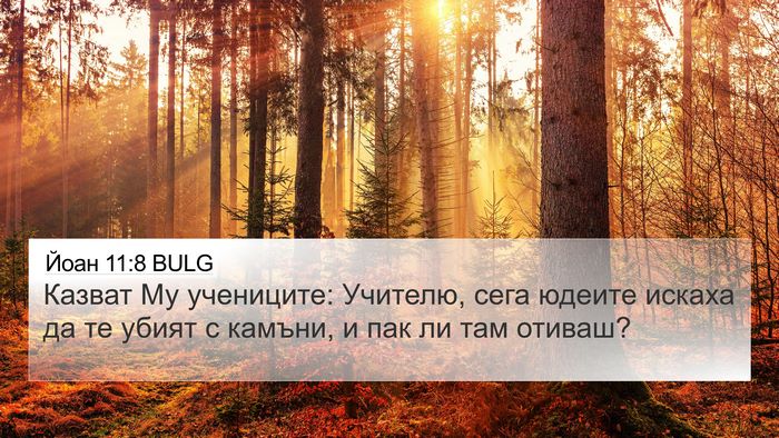 Йоан 11:8 BULG Bible Verse Image