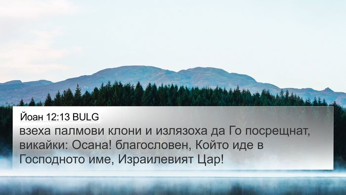 Йоан 12:13 BULG Bible Verse Image