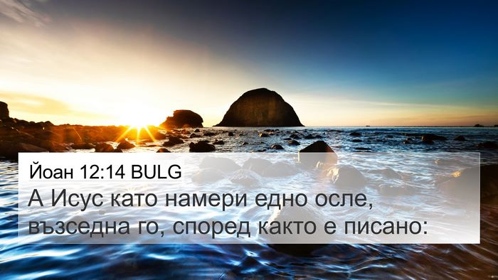 Йоан 12:14 BULG Bible Verse Image