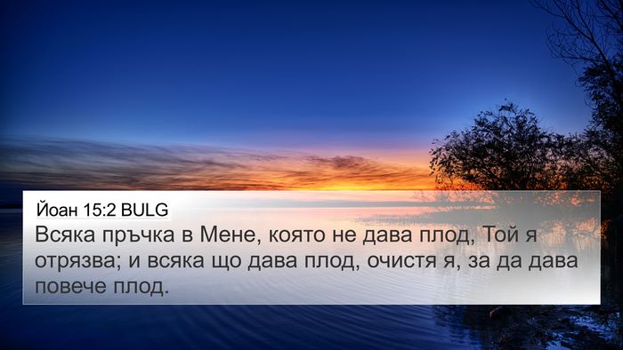 Йоан 15:2 BULG Bible Verse Image