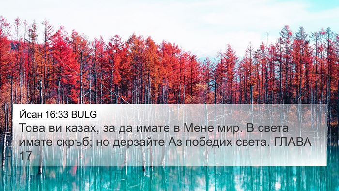 Йоан 16:33 BULG Bible Verse Image