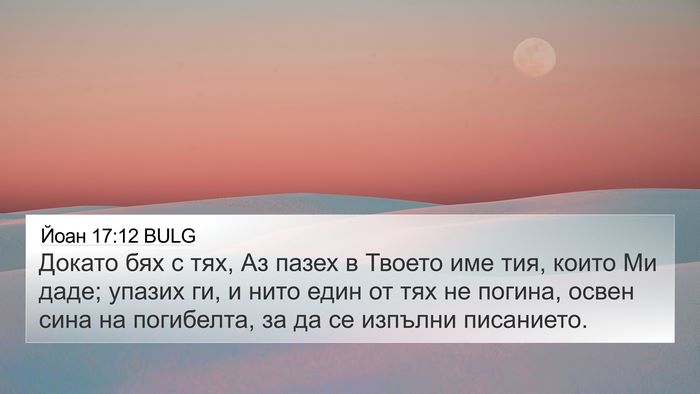 Йоан 17:12 BULG Bible Verse Image