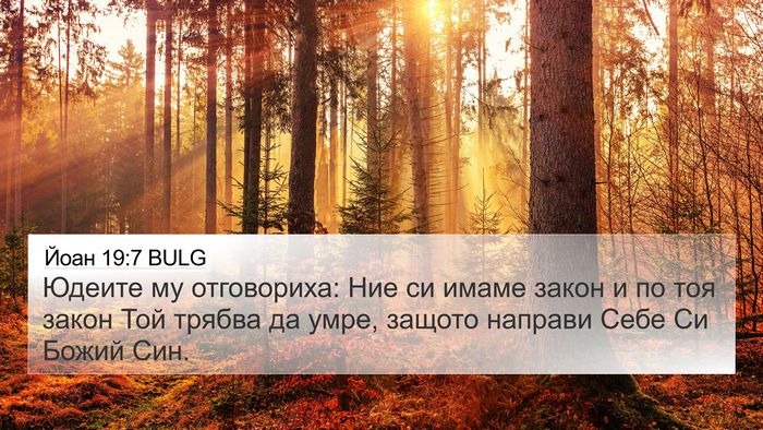 Йоан 19:7 BULG Bible Verse Image