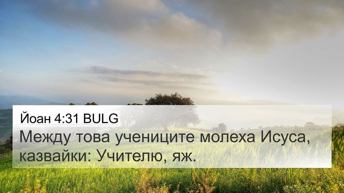 Йоан 4:31 BULG Bible Verse Image