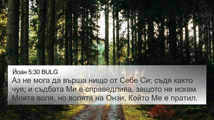 Йоан 5:30 BULG Bible Verse Image