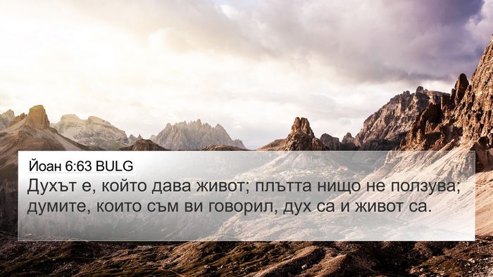 Йоан 6:63 BULG Bible Verse Image