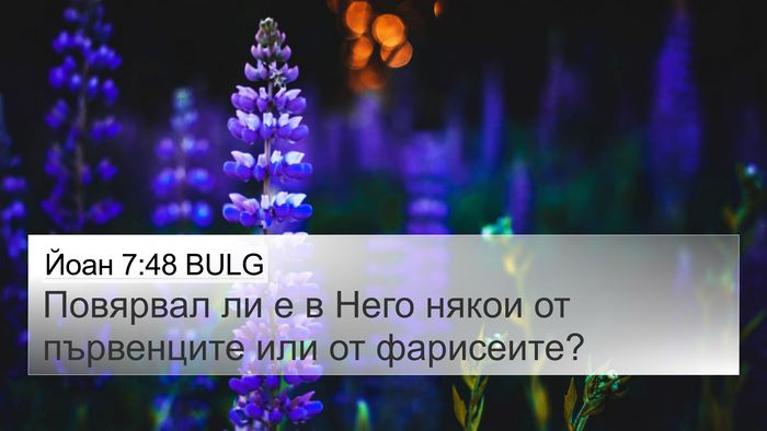 Йоан 7:48 BULG Bible Verse Image