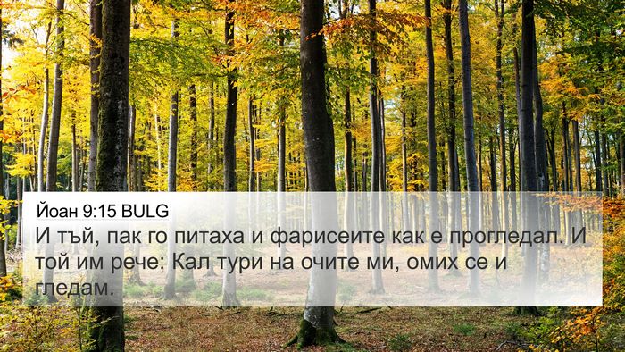 Йоан 9:15 BULG Bible Verse Image