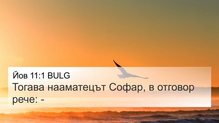 Йов 11:1 BULG Bible Verse Image