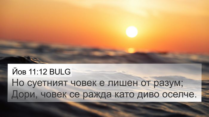 Йов 11:12 BULG Bible Verse Image