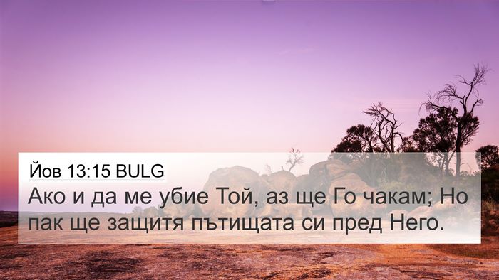 Йов 13:15 BULG Bible Verse Image